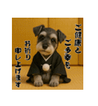 毎年使えるミニチュアシュナウザー年末年始（個別スタンプ：11）