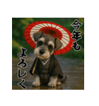 毎年使えるミニチュアシュナウザー年末年始（個別スタンプ：12）