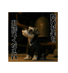 毎年使えるミニチュアシュナウザー年末年始（個別スタンプ：18）