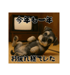 毎年使えるミニチュアシュナウザー年末年始（個別スタンプ：19）
