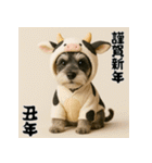 毎年使えるミニチュアシュナウザー年末年始（個別スタンプ：30）