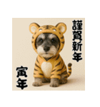 毎年使えるミニチュアシュナウザー年末年始（個別スタンプ：31）