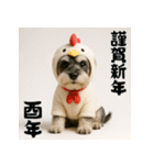 毎年使えるミニチュアシュナウザー年末年始（個別スタンプ：38）