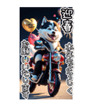 【BIG】バイク好き♡シベリアンハスキー（個別スタンプ：7）