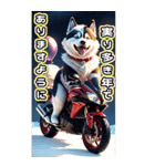 【BIG】バイク好き♡シベリアンハスキー（個別スタンプ：17）