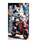 【BIG】バイク好き♡シベリアンハスキー（個別スタンプ：31）