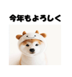 十二支全部 あけおめ 年賀状 柴犬（個別スタンプ：4）