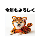 十二支全部 あけおめ 年賀状 柴犬（個別スタンプ：9）