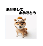 十二支全部 あけおめ 年賀状 柴犬（個別スタンプ：20）