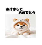 十二支全部 あけおめ 年賀状 柴犬（個別スタンプ：34）