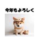 十二支全部 あけおめ 年賀状 柴犬（個別スタンプ：39）