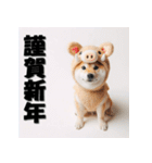十二支全部 あけおめ 年賀状 柴犬（個別スタンプ：40）