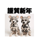 十二支全部 あけおめ 年賀状 ダルメシアン（個別スタンプ：1）