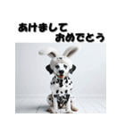 十二支全部 あけおめ 年賀状 ダルメシアン（個別スタンプ：14）