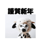 十二支全部 あけおめ 年賀状 ダルメシアン（個別スタンプ：28）