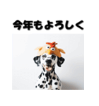 十二支全部 あけおめ 年賀状 ダルメシアン（個別スタンプ：34）