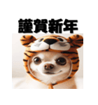 十二支全部 あけおめ 年賀状 チワワ（個別スタンプ：8）
