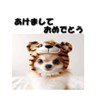 十二支全部 あけおめ 年賀状 チワワ（個別スタンプ：9）
