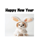 十二支全部 あけおめ 年賀状 チワワ（個別スタンプ：12）