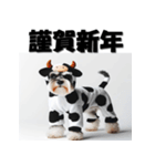 十二支全部 年賀状 ミニチュアシュナウザー（個別スタンプ：4）