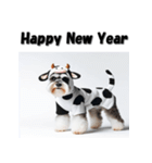 十二支全部 年賀状 ミニチュアシュナウザー（個別スタンプ：6）