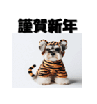 十二支全部 年賀状 ミニチュアシュナウザー（個別スタンプ：8）