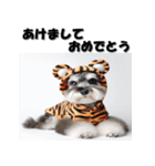 十二支全部 年賀状 ミニチュアシュナウザー（個別スタンプ：9）