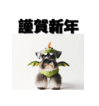 十二支全部 年賀状 ミニチュアシュナウザー（個別スタンプ：13）