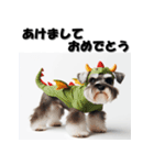 十二支全部 年賀状 ミニチュアシュナウザー（個別スタンプ：15）