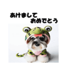 十二支全部 年賀状 ミニチュアシュナウザー（個別スタンプ：16）