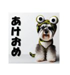 十二支全部 年賀状 ミニチュアシュナウザー（個別スタンプ：18）