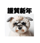 十二支全部 年賀状 ミニチュアシュナウザー（個別スタンプ：25）