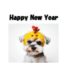 十二支全部 年賀状 ミニチュアシュナウザー（個別スタンプ：31）