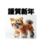 十二支全部 年賀状 ミニチュアシュナウザー（個別スタンプ：34）