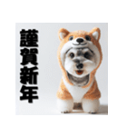十二支全部 年賀状 ミニチュアシュナウザー（個別スタンプ：36）