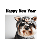 十二支全部 年賀状 ミニチュアシュナウザー（個別スタンプ：38）