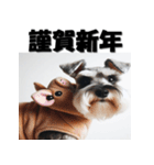 十二支全部 年賀状 ミニチュアシュナウザー（個別スタンプ：40）
