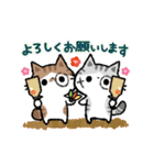 2026！猫のコハマ＆コエリの年賀スタンプ（個別スタンプ：16）