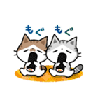 2026！猫のコハマ＆コエリの年賀スタンプ（個別スタンプ：22）