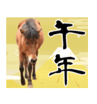 馬が主役の午年スタンプ ウマの実写！（個別スタンプ：3）