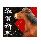 馬が主役の午年スタンプ ウマの実写！（個別スタンプ：7）