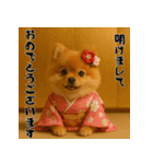 毎年使える♡ポメラニアンの年末年始（個別スタンプ：1）