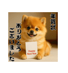 毎年使える♡ポメラニアンの年末年始（個別スタンプ：3）