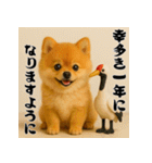 毎年使える♡ポメラニアンの年末年始（個別スタンプ：4）