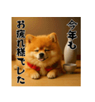 毎年使える♡ポメラニアンの年末年始（個別スタンプ：15）