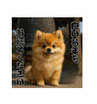 毎年使える♡ポメラニアンの年末年始（個別スタンプ：18）