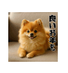 毎年使える♡ポメラニアンの年末年始（個別スタンプ：20）