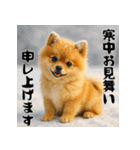 毎年使える♡ポメラニアンの年末年始（個別スタンプ：21）
