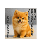毎年使える♡ポメラニアンの年末年始（個別スタンプ：22）