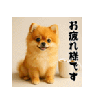 毎年使える♡ポメラニアンの年末年始（個別スタンプ：25）